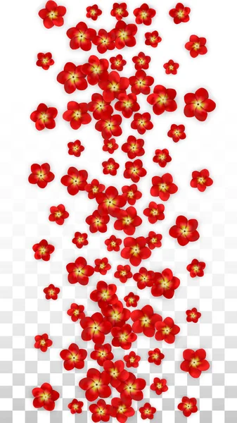 Vektor reális piros virágok alá átlátszó háttér. Tavaszi virágok romantikus illusztráció. Repülő ázsiai Rózsa Spa Design. Blossom konfetti. Esküvői dekoráció design elemek. — Stock Vector