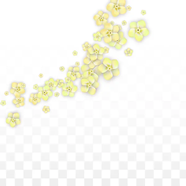 Vector realistiska gula blommor faller på Transparent bakgrund. Vårens romantiska blommor Illustration. Flygande blomblad. Sakura Spa Design. Blossom konfetti. Designelement för bröllop dekoration. — Stock vektor