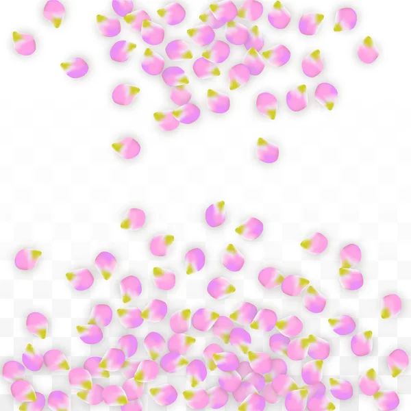 Vector réaliste pétales roses tombant sur fond transparent. Printemps Fleurs Romantiques Illustration. Flying Petals. Sakura Spa Design. Confettis de fleurs . — Image vectorielle