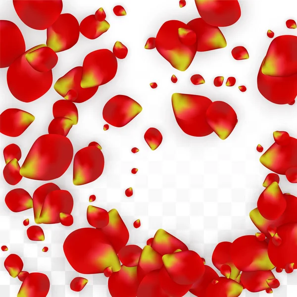 Petali di rosa rossa realistici vettoriali che cadono su sfondo trasparente. Illustrazione di fiori romantici. Petali volanti. Sakura Spa Design. Blossom Confetti. Elementi di design per la decorazione di nozze . — Vettoriale Stock