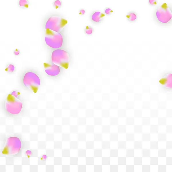 벡터 현실적인 분홍색 꽃잎 떨어지는 투명 한 배경입니다. 봄 로맨틱 꽃 그림입니다. 플 라 잉 꽃잎입니다. 사쿠라 스파 디자인입니다. 색종이 꽃. — 스톡 벡터