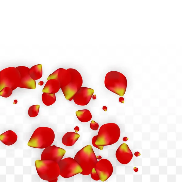 Vector realistische rode roos bloemblaadjes vallen op transparante achtergrond. Romantische bloemen illustratie. Vliegende bloemblaadjes. Sakura Spa Design. Bloesem Confetti. Ontwerpelementen voor bruiloft decoratie. — Stockvector