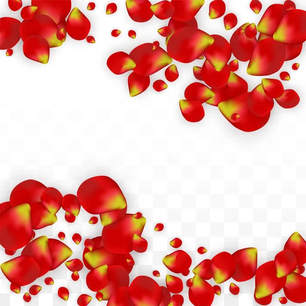 Vektor reális piros rózsa szirmok hullottak átlátszó háttér. Romantikus virágok illusztráció. Repülő szirmok. Sakura Spa Design. Blossom konfetti. Esküvői dekoráció design elemek. — Stock Vector