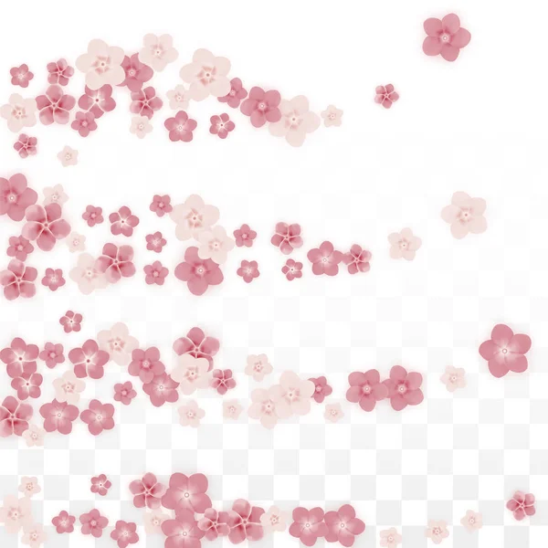 Vektor reális rózsaszín virágok alá átlátszó háttér. Tavaszi virágok romantikus illusztráció. Repülő szirmok. Sakura Spa Design. Blossom konfetti. Esküvői dekoráció design elemek. — Stock Vector