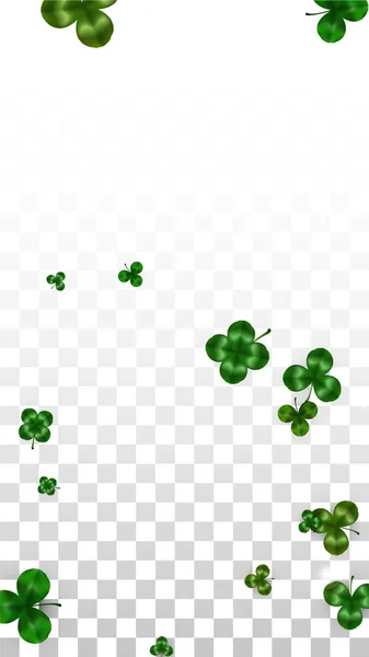 Vector Clover Leaf Izolált átlátható háttér szóköz szöveges. Szent Patrik napi illusztráció. Írország Lucky Shamrock plakátja. Meghívó koncertre a kocsmába. Top View-ban. Siker szimbólumok. — Stock Vector