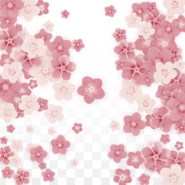 Saydam arka plan üzerine düşen vektör gerçekçi pembe çiçekler. Bahar romantik çiçek illüstrasyon. Uçan yaprakları. Sakura Spa tasarım. Çiçeği konfeti. Düğün dekorasyon için tasarım öğeleri.