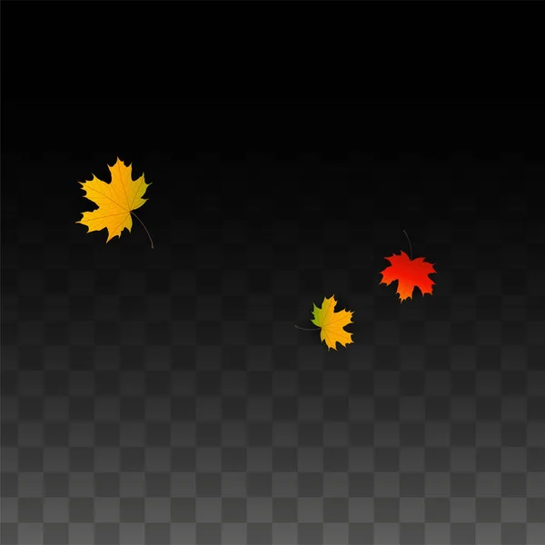 9 월 골든 떨어지는 잎 배경 벡터. 메이플 레드, 오렌지, 노란색 단풍이을 그림. 투명 한 배경에서의 고립 된 잎 밝은 소용돌이 친다. 포스터에 적합. — 스톡 벡터