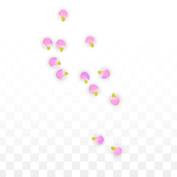 Vector réaliste pétales roses tombant sur fond transparent. Printemps Fleurs Romantiques Illustration. Flying Petals. Sakura Spa Design. Confettis de fleurs . — Image vectorielle
