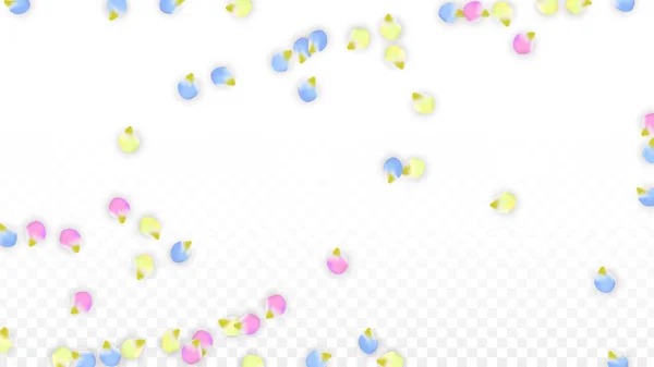 Διάνυσμα ρεαλιστική πολύχρωμα πέταλα πέφτουν σε διαφανές φόντο. Άνοιξη λουλούδια ρομαντική εικόνα. Πετώντας πέταλα. Sakura Spa Design. Άνθος κομφετί. Στοιχεία σχεδιασμού για διακόσμηση γάμου. — Διανυσματικό Αρχείο