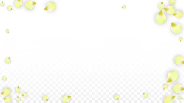 Vetor Realista Rosa Pétalas Caindo em Fundo Transparente. Primavera flores românticas Ilustração. Pétalas voadoras. Sakura Spa Design. Flor Confetti . —  Vetores de Stock
