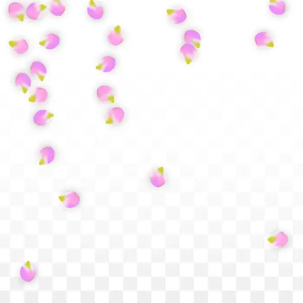 Vector realista pétalos rosados cayendo sobre fondo transparente. Ilustración de flores románticas de primavera. Pétalos voladores. Sakura Spa Design. Confetti de flor . — Archivo Imágenes Vectoriales