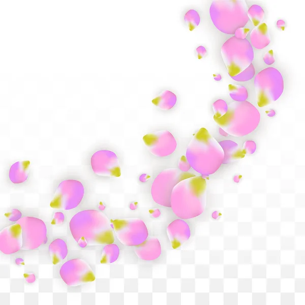 Vector realistische roze bloemblaadjes vallen op transparante achtergrond. Lente romantische bloemen illustratie. Vliegende bloemblaadjes. Sakura Spa Design. Bloesem Confetti. — Stockvector