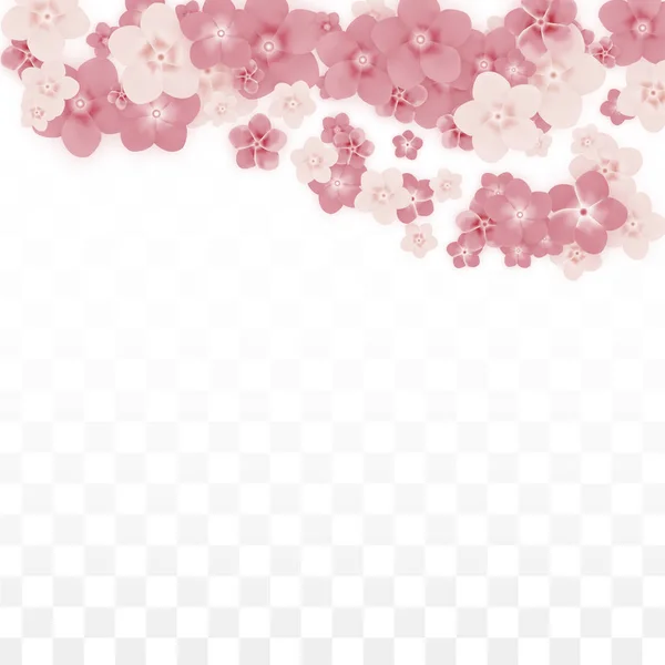 Vetor realista flores cor-de-rosa caindo em fundo transparente. Primavera flores românticas Ilustração. Pétalas voadoras. Sakura Spa Design. Blossom Confetti. Elementos de design para decoração de casamento . —  Vetores de Stock