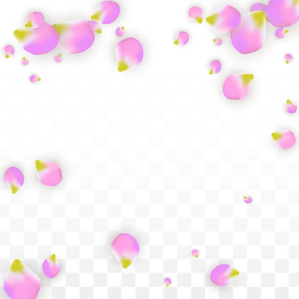 벡터 현실적인 분홍색 꽃잎 떨어지는 투명 한 배경입니다. 봄 로맨틱 꽃 그림입니다. 플 라 잉 꽃잎입니다. 사쿠라 스파 디자인입니다. 색종이 꽃. — 스톡 벡터