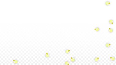 Saydam arka plan üzerine düşen vektör gerçekçi pembe yaprakları. Bahar romantik çiçek illüstrasyon. Uçan yaprakları. Sakura Spa tasarım. Çiçeği konfeti.