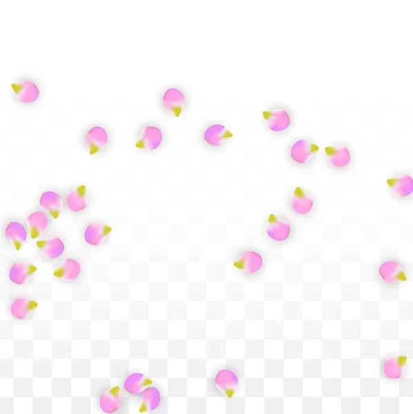 Vector realista pétalos rosados cayendo sobre fondo transparente. Ilustración de flores románticas de primavera. Pétalos voladores. Sakura Spa Design. Confetti de flor . — Vector de stock