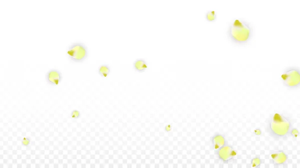 Vector realista pétalos rosados cayendo sobre fondo transparente. Ilustración de flores románticas de primavera. Pétalos voladores. Sakura Spa Design. Confetti de flor . — Archivo Imágenes Vectoriales