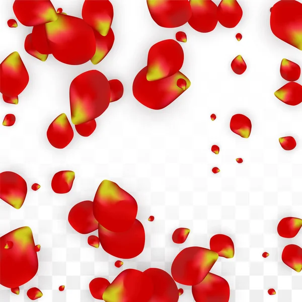 Vector Realistic Red Rose Petals Caindo em Fundo Transparente. Romântico Flores Ilustração. Pétalas voadoras. Sakura Spa Design. Blossom Confetti. Elementos de design para decoração de casamento . — Vetor de Stock