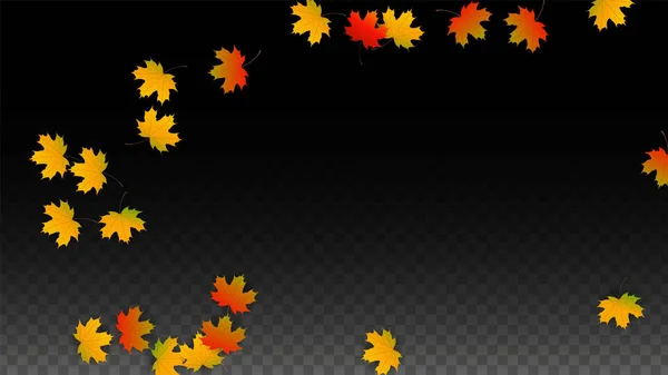 Latar belakang Vektor September dengan Dedaunan Emas. Ilustrasi Musim Gugur dengan Maple Red, Orange, Yellow Foliage. Lembaran Terisolasi di Latar Belakang Transparan. Belok kanan berputar. Poster yang Cocok . - Stok Vektor