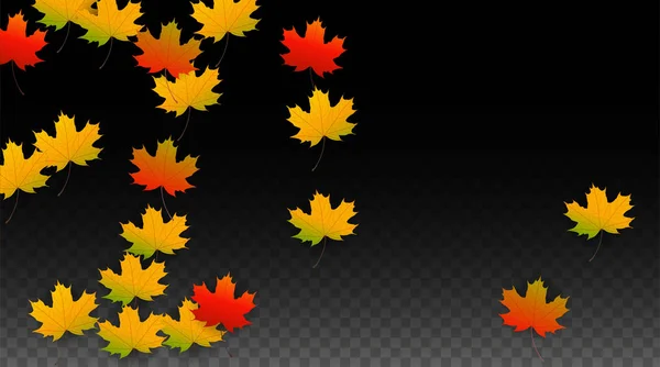 September vektor bakgrund med gyllene fallande löv. Hösten Illustration med Maple röd, Orange, gult bladverk. Isolerade blad på Transparent bakgrund. Ljusa virvel. Lämplig för affischer. — Stock vektor