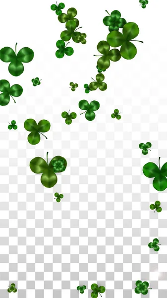 Vector Clover Leaf  Isolated on Transparent Background with Space for Text. St. Patrick's Day Illustration. Ireland's Lucky Shamrock Poster. Invintation for Concert in Pub. Top View. Success Symbols. — Stock Vector