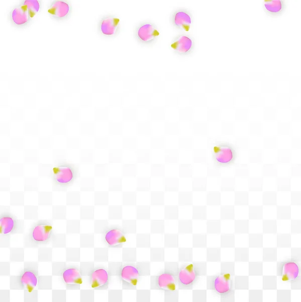 Vector réaliste pétales roses tombant sur fond transparent. Printemps Fleurs Romantiques Illustration. Flying Petals. Sakura Spa Design. Confettis de fleurs . — Image vectorielle