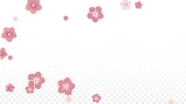 Vetor realista flores cor-de-rosa caindo em fundo transparente. Primavera flores românticas Ilustração. Pétalas voadoras. Sakura Spa Design. Blossom Confetti. Elementos de design para decoração de casamento . —  Vetores de Stock