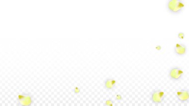 Saydam arka plan üzerine düşen vektör gerçekçi pembe yaprakları. Bahar romantik çiçek illüstrasyon. Uçan yaprakları. Sakura Spa tasarım. Çiçeği konfeti.