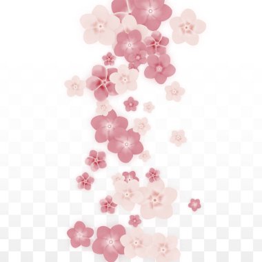 Saydam arka plan üzerine düşen vektör gerçekçi pembe çiçekler. Bahar romantik çiçek illüstrasyon. Uçan yaprakları. Sakura Spa tasarım. Çiçeği konfeti. Düğün dekorasyon için tasarım öğeleri.