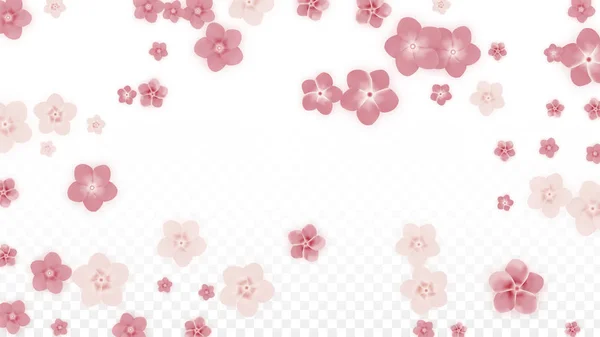 矢量逼真的粉红色花落在透明的背景。春天浪漫的花插图。飞行的花瓣。樱花水疗设计。开花的康彩提。婚礼装饰的设计元素. — 图库矢量图片
