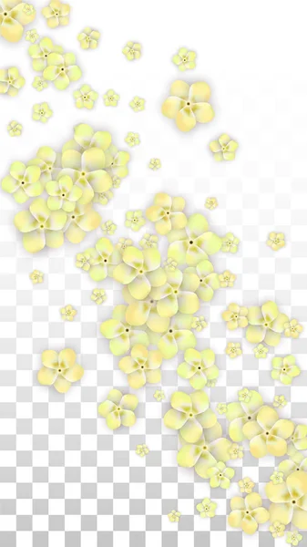 Vector realistische gele bloemen vallen op transparante achtergrond. Lente romantische bloemen illustratie. Vliegende bloemblaadjes. Sakura Spa Design. Bloesem Confetti. Ontwerpelementen voor bruiloft decoratie. — Stockvector