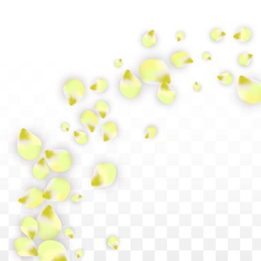 Saydam arka plan üzerine düşen vektör gerçekçi pembe yaprakları. Bahar romantik çiçek illüstrasyon. Uçan yaprakları. Sakura Spa tasarım. Çiçeği konfeti.