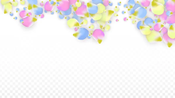 Διάνυσμα ρεαλιστική πολύχρωμα πέταλα πέφτουν σε διαφανές φόντο. Άνοιξη λουλούδια ρομαντική εικόνα. Πετώντας πέταλα. Sakura Spa Design. Άνθος κομφετί. Στοιχεία σχεδιασμού για διακόσμηση γάμου. — Διανυσματικό Αρχείο