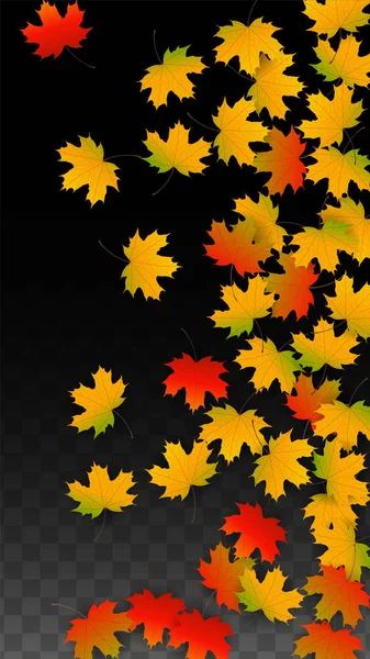 Setembro Vector fundo com Golden Falling Leaves. Ilustração de Outono com Maple Red, Laranja, Folhagem Amarela. Folha isolada em fundo transparente. Brilhante redemoinho. Adequado para cartazes . — Vetor de Stock