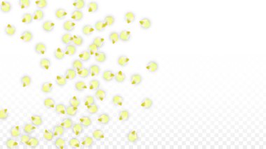 Saydam arka plan üzerine düşen vektör gerçekçi pembe yaprakları. Bahar romantik çiçek illüstrasyon. Uçan yaprakları. Sakura Spa tasarım. Çiçeği konfeti.