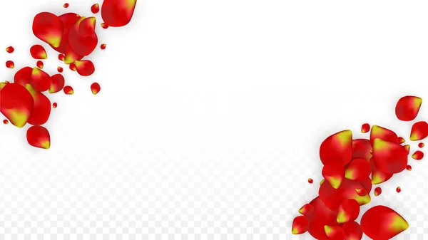 Vector Realistic Red Rose Petals Caindo em Fundo Transparente. Romântico Flores Ilustração. Pétalas voadoras. Sakura Spa Design. Blossom Confetti. Elementos de design para decoração de casamento . — Vetor de Stock