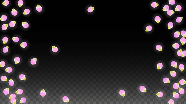 Vector Realistic Pink Petals Falling on Transparent Background.  Spring Romantic Flowers Illustration. Flying Petals. Sakura Spa Design. Blossom Confetti. — Stock Vector