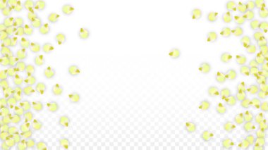 Saydam arka plan üzerine düşen vektör gerçekçi pembe yaprakları. Bahar romantik çiçek illüstrasyon. Uçan yaprakları. Sakura Spa tasarım. Çiçeği konfeti.