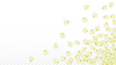 Saydam arka plan üzerine düşen vektör gerçekçi pembe yaprakları. Bahar romantik çiçek illüstrasyon. Uçan yaprakları. Sakura Spa tasarım. Çiçeği konfeti.