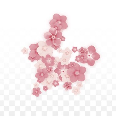 Saydam arka plan üzerine düşen vektör gerçekçi pembe çiçekler. Bahar romantik çiçek illüstrasyon. Uçan yaprakları. Sakura Spa tasarım. Çiçeği konfeti. Düğün dekorasyon için tasarım öğeleri.