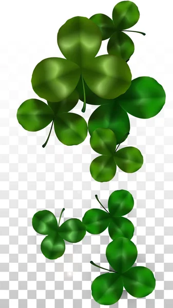 Vector Clover Leaf Izolált átlátható háttér szóköz szöveges. Szent Patrik napi illusztráció. Írország Lucky Shamrock plakátja. Meghívó koncertre a kocsmába. Top View-ban. Siker szimbólumok. — Stock Vector