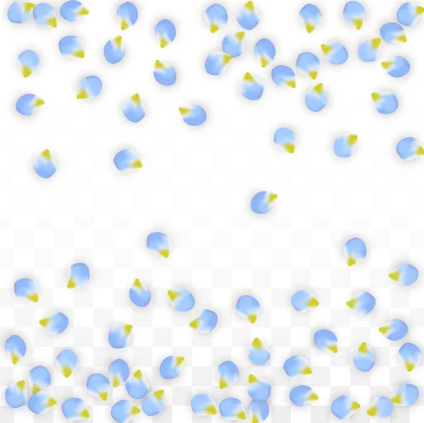 Vektor realistische blaue Blütenblätter fallen auf transparentem Hintergrund. Frühling romantische Blumen Illustration. Fliegende Blütenblätter. Sakura Wellness Design. Blütenkonfetti. — Stockvektor