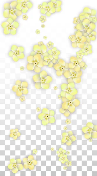 Vector realistische gele bloemen vallen op transparante achtergrond. Lente romantische bloemen illustratie. Vliegende bloemblaadjes. Sakura Spa Design. Bloesem Confetti. Ontwerpelementen voor bruiloft decoratie. — Stockvector