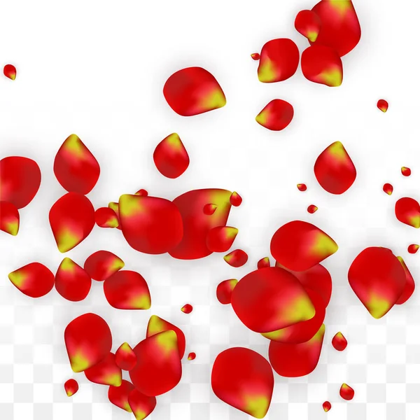 벡터 현실적인 레드 장미 꽃잎 떨어지는 투명 한 배경에. 로맨틱 꽃 그림입니다. 플 라 잉 꽃잎입니다. 사쿠라 스파 디자인입니다. 꽃 색종이입니다. 웨딩 장식 디자인 요소. — 스톡 벡터