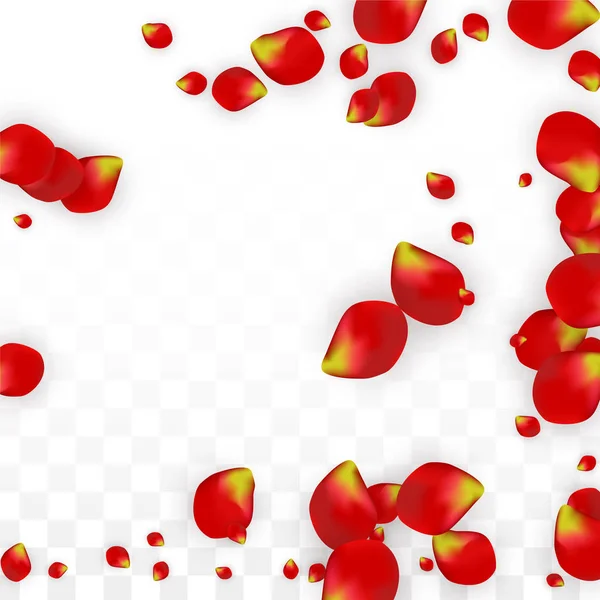 Vector realistiska röda rosenblad som faller på Transparent bakgrund. Romantiska blommor Illustration. Flygande blomblad. Sakura Spa Design. Blossom konfetti. Designelement för bröllop dekoration. — Stock vektor