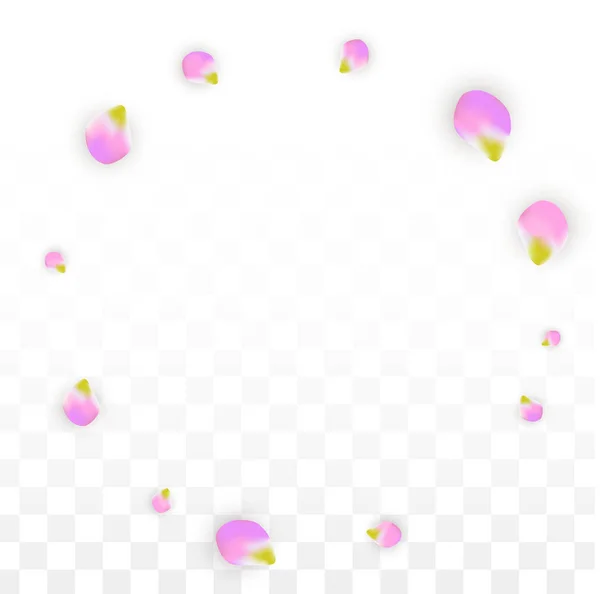 Saydam arka plan üzerine düşen vektör gerçekçi pembe yaprakları. Bahar romantik çiçek illüstrasyon. Uçan yaprakları. Sakura Spa tasarım. Çiçeği konfeti. — Stok Vektör