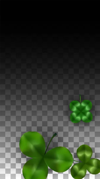 Vector Clover Leaf Isolated on Transparent Background with Space for Text. 성 패트릭의 날 삽화. 아일랜드의 럭키 샴 록 포스터. 콘서트를 준비하고 있다. 탑 뷰. 성공의 상징. — 스톡 벡터