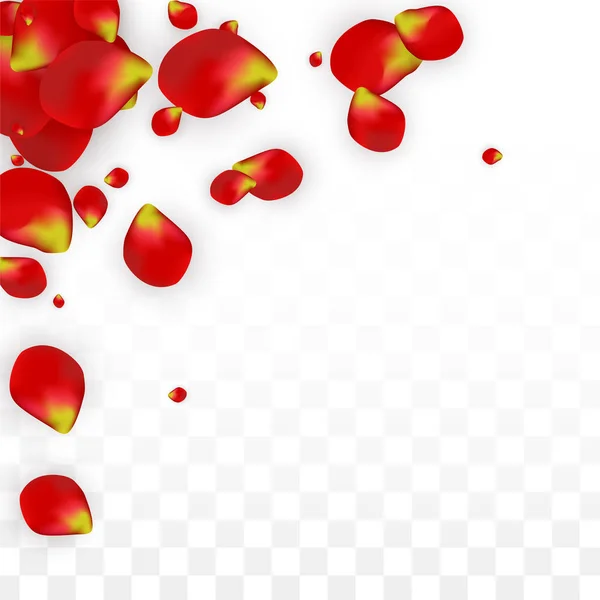 Vector realistische rode roos bloemblaadjes vallen op transparante achtergrond. Romantische bloemen illustratie. Vliegende bloemblaadjes. Sakura Spa Design. Bloesem Confetti. Ontwerpelementen voor bruiloft decoratie. — Stockvector