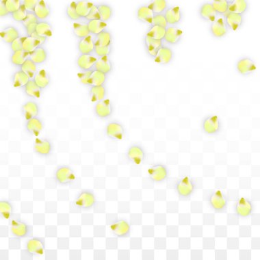 Saydam arka plan üzerine düşen vektör gerçekçi pembe yaprakları. 