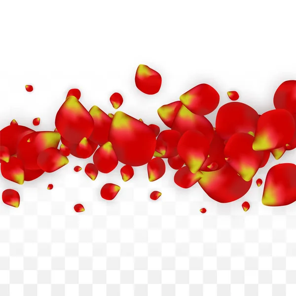 Vector Realistic Red Rose Petals Falling on Transparent Backgrou — Stock Vector